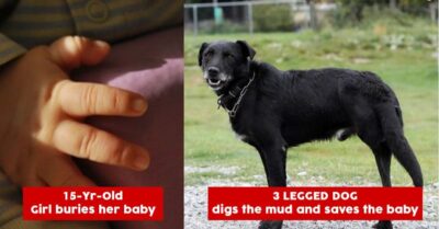 A 3 Legged Dog Saves The Life Of An Infant Who Was Buried To D*e By His 15 Years Old Mother RVCJ Media