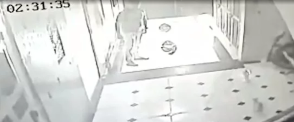 30 Year Old Man In Mumbai Burns Kitten Alive For 'FUN' - RVCJ Media