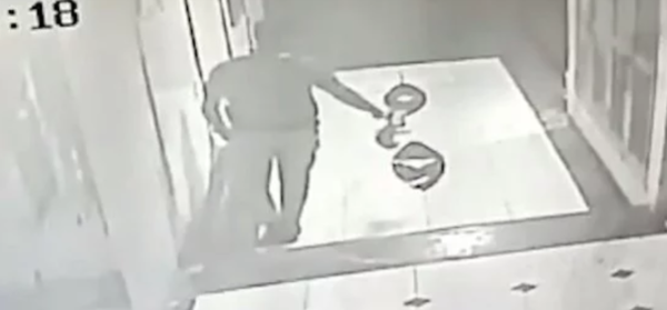 30 Year Old Man In Mumbai Burns Kitten Alive For 'FUN' - RVCJ Media