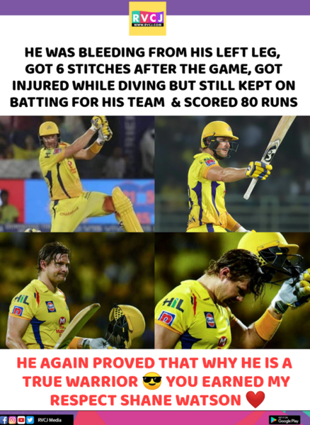 IPL 2019 Final: 'Watto's Knee Cap Is Our Cup' Shane Watson Is Winning Hearts In Social Media - RVCJ Media