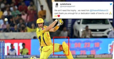 IPL 2019 Final: 'Watto's Knee Cap Is Our Cup' Shane Watson Is Winning Hearts In Social Media RVCJ Media
