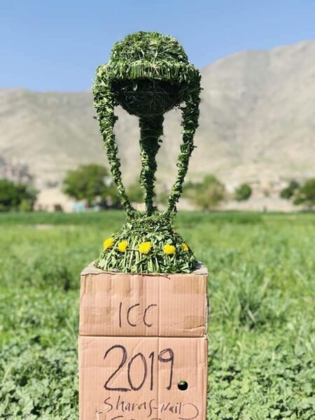 Afghan Man Made A World Cup Trophy Out Of Grass. Even ICC Is Impressed & Tweeted This - RVCJ Media