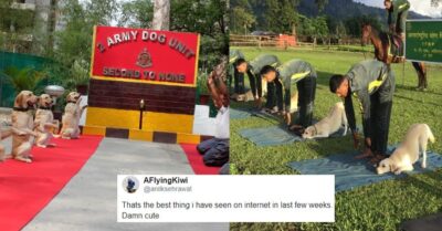 On International Yoga Day Indian Army Jawans Are Guided By Army Dogs RVCJ Media