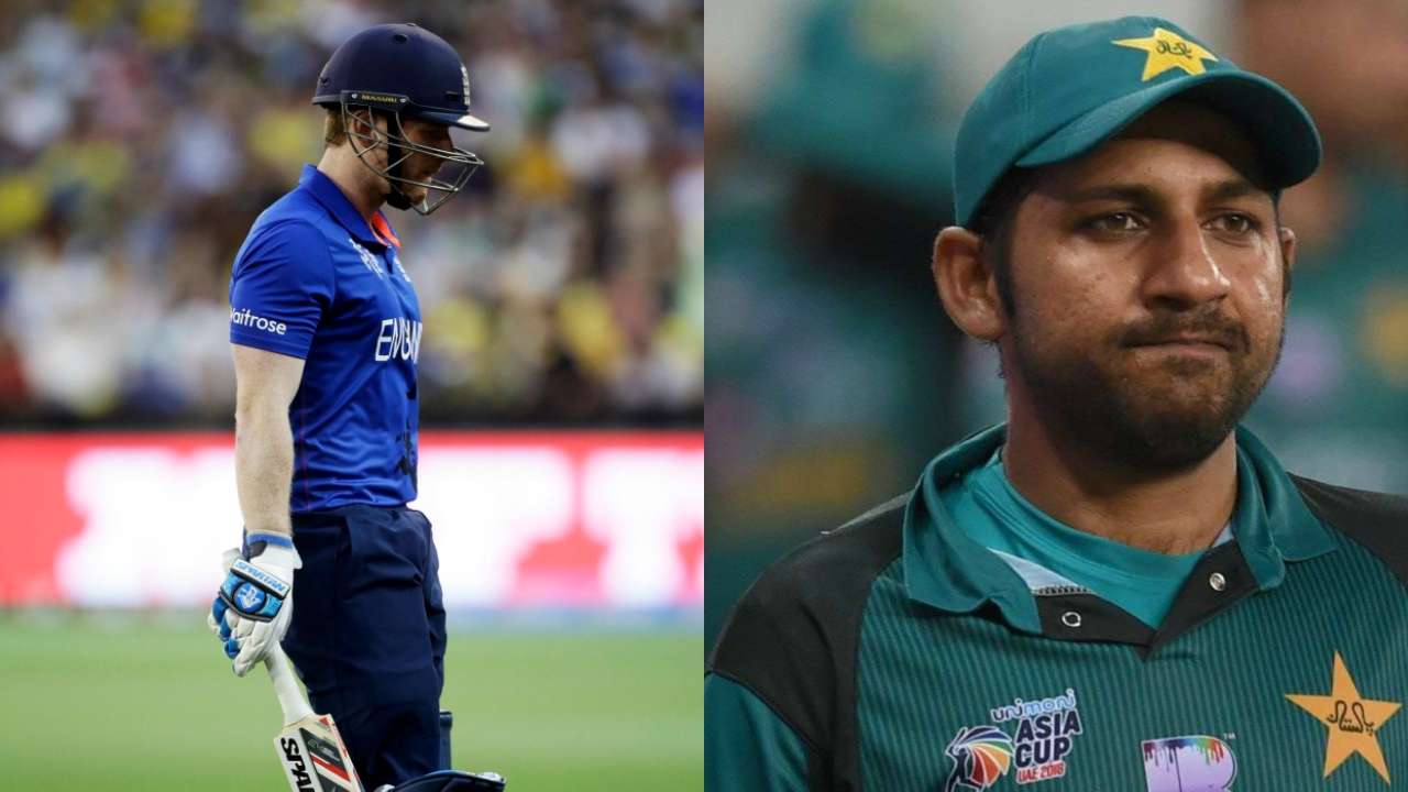 Sania Mirza Congratulates Pakistan Team After They Defeat England - RVCJ Media