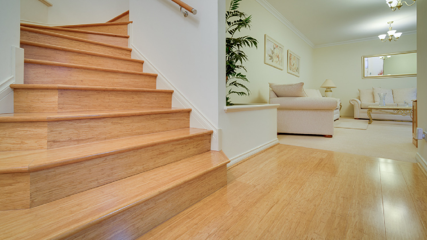 7 Reasons Why Bamboo Flooring Is So Popular - RVCJ Media