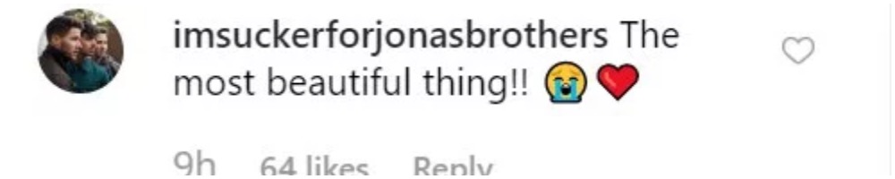 Priyanka Chopra Photoshopped Herself In Nick Jonas' Photo, Netizens Can't Keep Calm - RVCJ Media