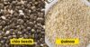 10 Foods That Will Help You With Aging Process RVCJ Media