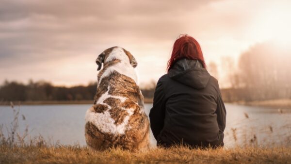 10 Similarities Between Humans And Animals - RVCJ Media
