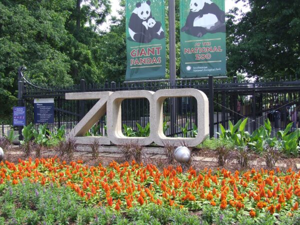 10 Best Places To Visit In Washington DC, USA - RVCJ Media