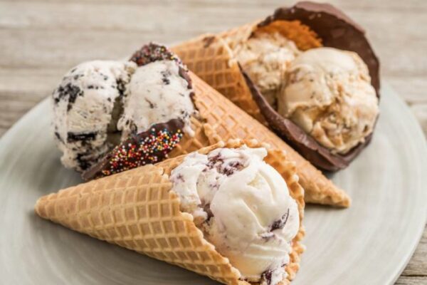 10 Food Businesses That You Can Start With Minimum Investment - RVCJ Media
