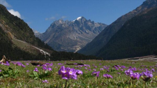 10 Attractions To Visit In Gangtok, One Of The Most Beautiful Places Of North-Eastern India - RVCJ Media