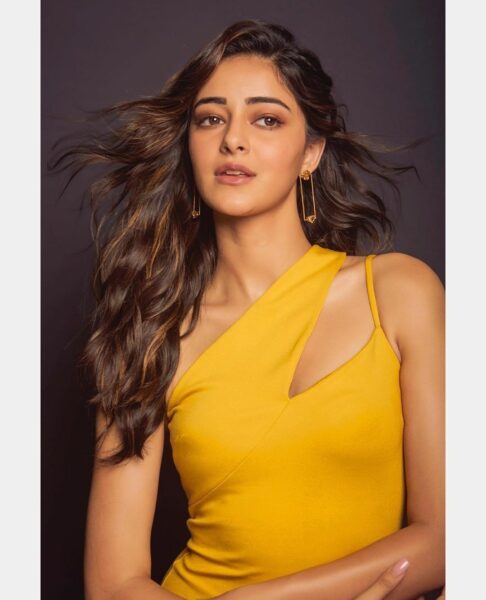 Ananya Panday Used Mango As A Reference In Caption, Twitter Asked Her To Hire A Professional RVCJ Media