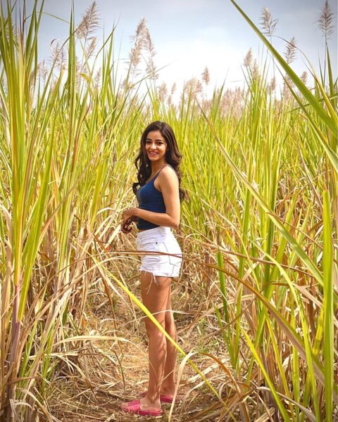 Ananya Panday Got Trolled Again For Her Struggle Remark After She Posted Her Photos In A Field - RVCJ Media