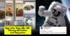 Gaganyaan Astronauts To Eat Egg Roll, Idli, Halwa, Veg Pulav. Twitter Flooded With Funny Reactions RVCJ Media