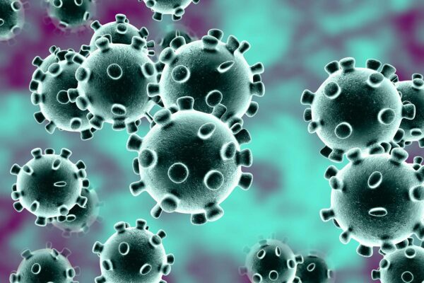 Some Books, Movies & Sitcom Already Predicted Outbreak Of Coronavirus Years Ago RVCJ Media