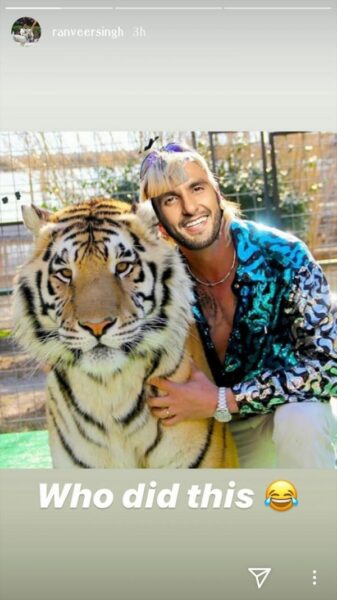 Ranveer Singh Wants To Meet The Guy Who Made His Tiger King Meme - RVCJ Media