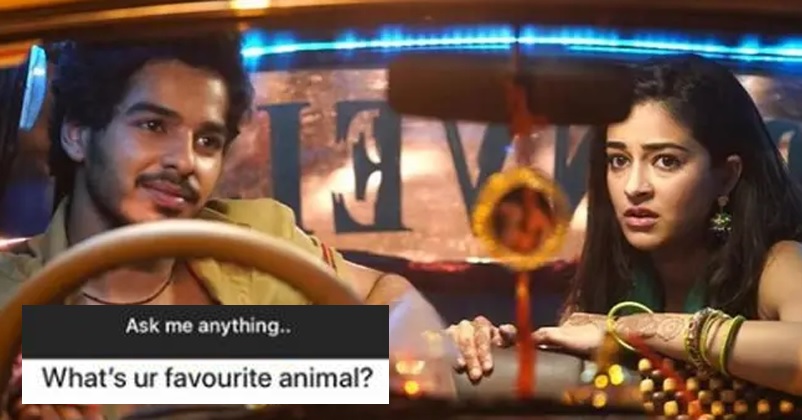 Ishaan Khatter Named Ananya Panday When A Fan Asked About His Favourite Animal RVCJ Media