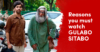Gulabo Sitabo: Simple, Beautiful, And Elegant. A Must Watch. RVCJ Media