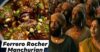 Someone Shares Manchurian Made Of Ferrero Rocher Chocolates & Twitter Goes WTF RVCJ Media
