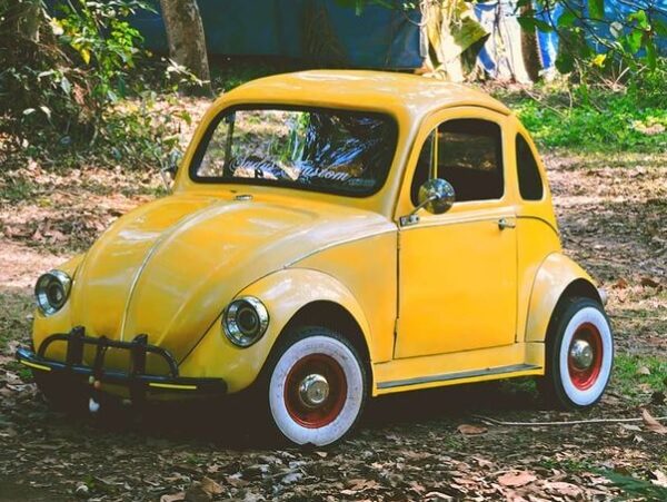 Kerala Guy Assembled His Own Volkswagen Beetle From Scrap Materials In 6 Months In Just Rs 40K RVCJ Media