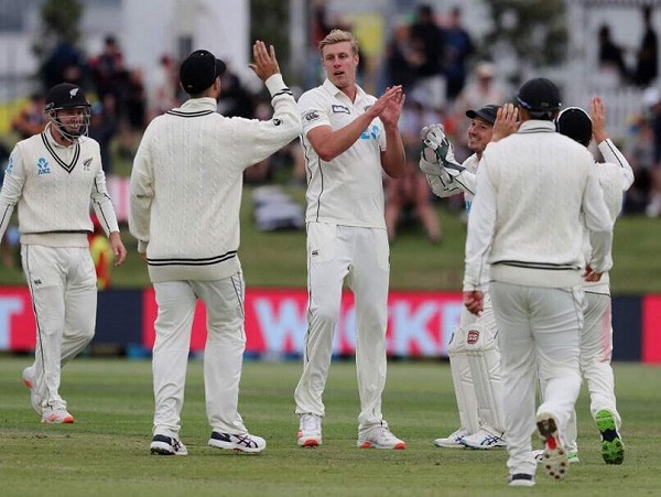 New Zealand Fan Roasts Pakistan By Reminding Their Errors On Scoreboard In NZvsPAK, Twitter Reacts - RVCJ Media