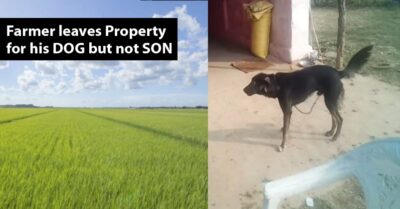 Just Like Akshay Kumar’s Entertainment Movie, MP Farmer Writes His Property In His Dog’s Name RVCJ Media