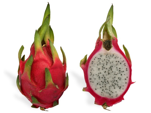 Gujarat CM Renames Dragon Fruit As Kamalam As Dragon Is Chinese Word, Twitter Can’t Stop Reacting - RVCJ Media