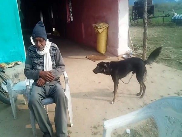 Just Like Akshay Kumar’s Entertainment Movie, MP Farmer Writes His Property In His Dog’s Name - RVCJ Media
