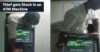 ATM Robbery Got Epic Failed As Thief Got Stuck In ATM Machine & Was Rescued By Cops, See Video RVCJ Media