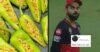 “Ghor Kalyug”, “Zinda Pakadna Hai,” Foodies Angrily React To Viral Pic Of Stuffed Maggi Mirch RVCJ Media