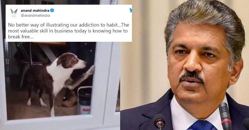 Anand Mahindra Explains The Most Valuable Skill In Business Through A Viral Dog Video RVCJ Media