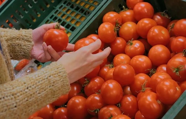 Pune Farmer Becomes Crorepati In A Month Just By Selling Tomatoes RVCJ Media