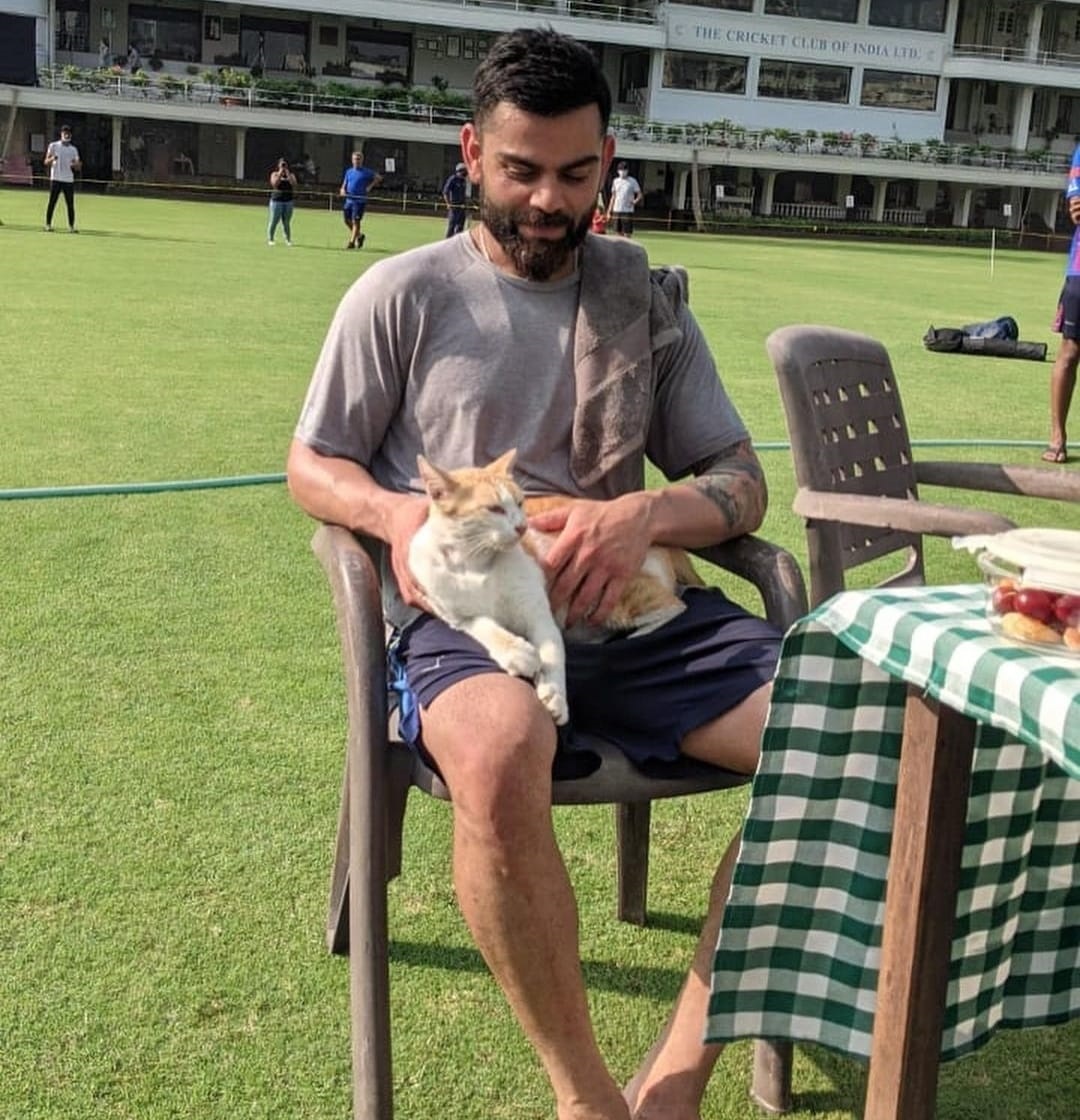 Virat Kohli Has A Hilarious Reaction To Wife Anushka’s Comment Over His Post On Cute Cat