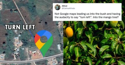 Man Tweets Google Maps Asks Him To Drive Into A Mango Tree, Netizens Share Similar Stories RVCJ Media