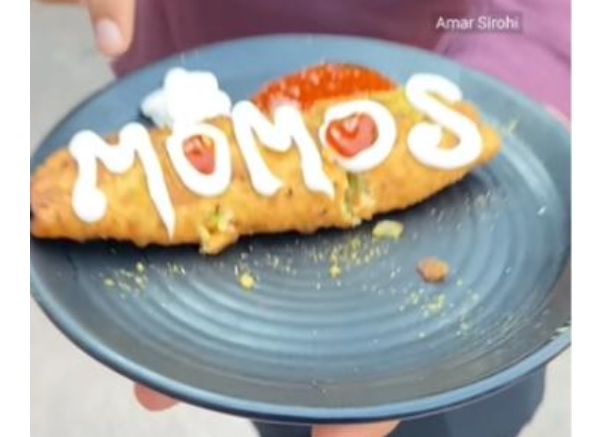 Food Blogger Eats Momo Parantha & Gives Honest Review In Viral Video, Foodies React RVCJ Media