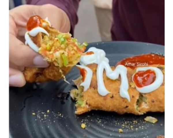 Food Blogger Eats Momo Parantha & Gives Honest Review In Viral Video, Foodies React - RVCJ Media