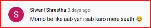 Food Blogger Eats Momo Parantha & Gives Honest Review In Viral Video, Foodies React - RVCJ Media