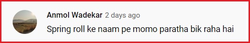 Food Blogger Eats Momo Parantha & Gives Honest Review In Viral Video, Foodies React - RVCJ Media