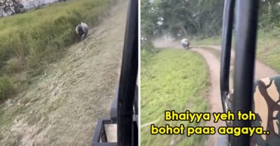 Angry Rhino Chases Jeep At Kaziranga National Park, Family Gets Scared. See The Chilling Video RVCJ Media