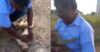 Man Saves Monkey’s Life By Giving Him CPR, His Reaction In The End Will Melt Your Heart RVCJ Media