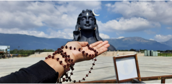 5 Things To Note Before Wearing A Rudraksha Bracelet - RVCJ Media