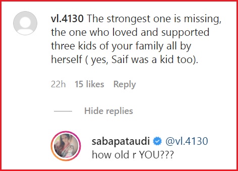 Saba Ali Gives Witty Replies To Trolls Targeting Her For Not Including Amrita Singh In Her Post RVCJ Media