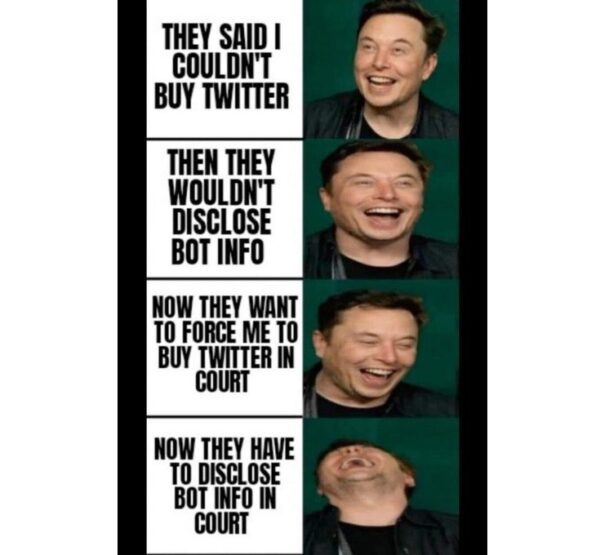 Netizens Slam Elon Musk As He Backs Out Of $44 Billion Deal, Twitter To Sue Him, Musk Reacts - RVCJ Media