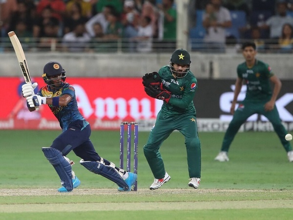 “You Are Happy Pak Har Gaya”, Shoaib Malik & Kamran Akmal Slammed For Their Tweets On Pak’s Loss - RVCJ Media