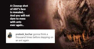 Lithuanian Photographer Clicks The Close Up Of An Ant’s Face & It’s Scary RVCJ Media