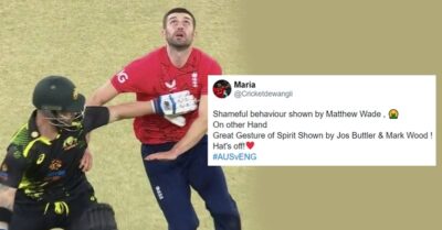 Twitter Calls ‘The CEO Of Sportsman Spirit’ Matthew Wade ‘Cheater’ For Stopping Mark Wood RVCJ Media
