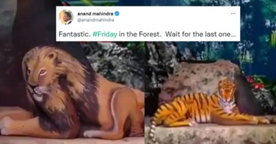 Anand Mahindra Shares Video Of Women Taking Shape Of Animals & It’s A Visual Treat RVCJ Media