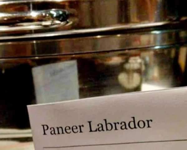 Foodies Hilariously React After Pic Of Paneer ‘Labrador’ Instead Of ‘Lababdar’ Goes Viral RVCJ Media