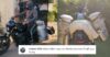 Man Selling Milk On Harley Davidson Makes Netizens Go Crazy, See Viral Video RVCJ Media