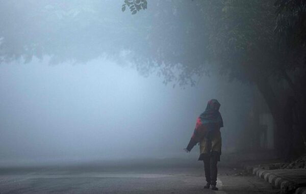 Amid Cold Wave & Dense Fog, Delhites Are Keeping Themselves Warm With Hilarious Memes - RVCJ Media